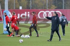 1. Bundesliga - Fußball - FC Ingolstadt 04 - Training - Interimstrainer Michael Henke übernimmt Training bis neuer Cheftrainer gefunden ist, rechts gibt Anweisungen