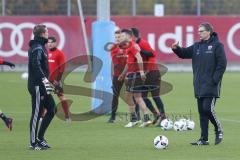 1. Bundesliga - Fußball - FC Ingolstadt 04 - Training - Interimstrainer Michael Henke übernimmt Training bis neuer Cheftrainer gefunden ist, rechts gibt Anweisungen