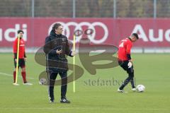 1. Bundesliga - Fußball - FC Ingolstadt 04 - Training - Interimstrainer Michael Henke übernimmt Training bis neuer Cheftrainer gefunden ist, mitte gibt Anweisungen.