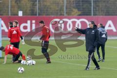 1. Bundesliga - Fußball - FC Ingolstadt 04 - Training - Interimstrainer Michael Henke übernimmt Training bis neuer Cheftrainer gefunden ist, rechts gibt Anweisungen