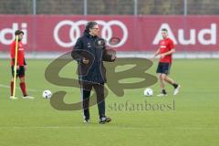 1. Bundesliga - Fußball - FC Ingolstadt 04 - Training - Interimstrainer Michael Henke übernimmt Training bis neuer Cheftrainer gefunden ist, mitte gibt Anweisungen.