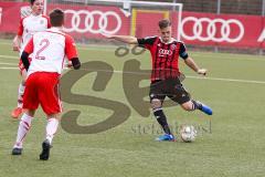 Bayernliga - Saison 2016/2017 - FC Ingolstadt 04 - U17 - SSV Jahn Regensburg - Fippl Janik rot FCI -  Foto: Meyer Jürgen