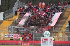 2. Bundesliga - Fußball - SV Darmstadt 98 - FC Ingolstadt 04 - mitgereiste Ingolstädter Fans, Jubel Fahnen Spruchband Choreo