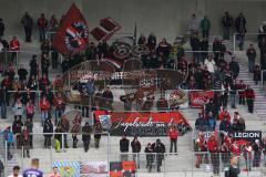2. Bundesliga - Fußball - Erzgebirge Aue - FC Ingolstadt 04 - mitgereiste Fans Kurve Fahnen Jubel