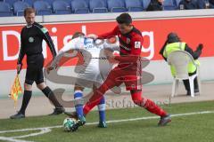 2. Bundesliga - Fußball - MSV Duisburg - FC Ingolstadt 04 - Zweikampf Alfredo Morales (6, FCI) und Dan-Patrick Poggenberg (27 Duisburg)