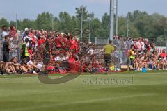 B-Junioren Bayernliga- U17 - FC Ingolstadt - TSV 1860 München - Fans an der Aussenlinie - Trainer Kaupp Patrick - Foto: Jürgen Meyer