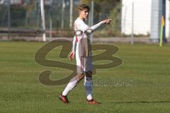 A-Junioren / Bayernliga / Bayern - FC Ingolstadt 04 - SG Quelle Fürth - Patrick Sussek #10 weiss FCI -  Foto: Jürgen Meyer