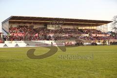 Regionalliga Bayern - FC Ingolstadt 04 - 1860 München - Gut gefülltes ESV Stadion Haupttribüne