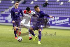 2. Bundesliga - FC Erzgebirge Aue - FC Ingolstadt 04 - Almog Cohen (8, FCI) Filip Kusic (Aue 36)