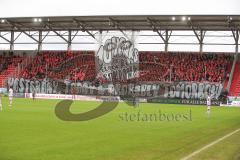 2. Bundesliga - FC Ingolstadt 04 - SSV Jahn Regensburg - Fans Jubel Spruchband Choreographie