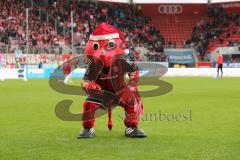 2. Bundesliga - FC Ingolstadt 04 - SSV Jahn Regensburg - Schanzi Maskottchen