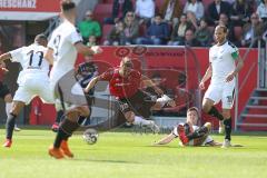 2. BL - Saison 2018/2019 - FC Ingolstadt 04 - SV Sandhausen - Thomas Pledl (#30 FCI) - Foto: Meyer Jürgen