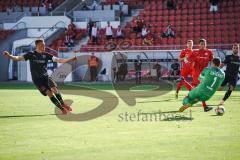 3. Liga - FSV Zwickau - FC Ingolstadt 04 - Sologang von Stefan Kutschke (30, FCI) Tor Schuß Jubel zum 0:2, Torwart Brinkies Johannes (1 Zwickau) keine Chance