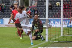 3. Liga - Fußball - SG Sonnenhof Großaspach - FC Ingolstadt 04 - Tor Jubel zum 1:5, Caniggia Ginola Elva (14, FCI), Torwart Maximilian Reule (1 SG) am Boden, hinten Korbinian Burger (4 SG)