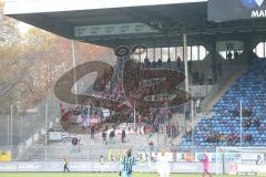 3. Fußball-Liga - Saison 2019/2020 - SV Waldhof Mannheim - FC Ingolstadt 04 - Mitgereiste Fans nach Mannheim - Foto: Stefan Bösl