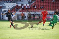 3. Liga - FSV Zwickau - FC Ingolstadt 04 - Sologang von Stefan Kutschke (30, FCI) Tor Schuß Jubel zum 0:2, Torwart Brinkies Johannes (1 Zwickau) keine Chance