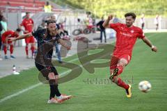 3. Liga - FSV Zwickau - FC Ingolstadt 04 - Björn Paulsen (4, FCI) Ronny König (15 Zwickau)