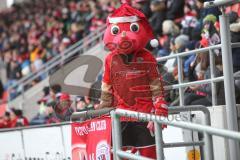 3. Liga - FC Ingolstadt 04 - FC Ingolstadt 04 - SV Meppen - Schanzi mit Nikolausmütze - Foto: Stefan Bösl