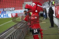 3. Liga - FC Ingolstadt 04 - FC Ingolstadt 04 - SV Meppen - Schanzi mit Nikolausmütze - Foto: Stefan Bösl