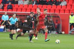 3. Fußball-Liga - Saison 2019/2020 - FC Ingolstadt 04 - FSV Zwickau - Maximilian Thalhammer (#6,FCI) - Foto: Meyer Jürgen