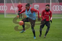 3. Liga - FC Ingolstadt 04 - Trainingsauftakt nach Winterpause - Caniggia Ginola Elva (14, FCI) Georgius Pintidis (6, FCI)