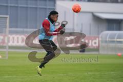 3. Liga - FC Ingolstadt 04 - Trainingsauftakt nach Winterpause - Frederic Ananou (2, FCI)