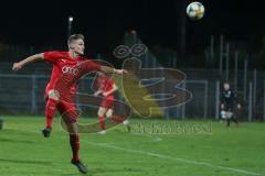 Bayernliga Süd - Saison 2020/2021 - FC Ingolstadt 04 II - SpVgg SpVgg Hankofen-Hailing  - Mario Götzendörfer rot FCI - Foto: Meyer Jürgen