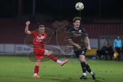 Bayernliga Süd - Saison 2020/2021 - FC Ingolstadt 04 II - SpVgg SpVgg Hankofen-Hailing  - Lukas Schröder rot FCI - Foto: Meyer Jürgen