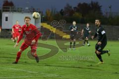 Bayernliga Süd - Saison 2020/2021 - FC Ingolstadt 04 II - SpVgg SpVgg Hankofen-Hailing  - Fabio Meikis  rot FCI - Foto: Meyer Jürgen