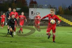 Bayernliga Süd - Saison 2020/2021 - FC Ingolstadt 04 II - SpVgg SpVgg Hankofen-Hailing  - Fabio Meikis  rot FCI - Foto: Meyer Jürgen