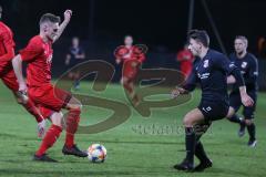 Bayernliga Süd - Saison 2020/2021 - FC Ingolstadt 04 II - SpVgg SpVgg Hankofen-Hailing  - Mario Götzendörfer rot FCI - Foto: Meyer Jürgen