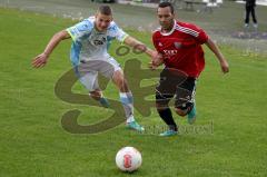 Regionalliga Bayern - FC Ingolstadt 04 II - TSV 1860 München II - Weiß Dominik (rot FC Ing) - Foto: Jürgen Meyer