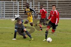 FC Ingolstadt II - SpVgg Bayern Hof - Knasmüllner Christoph (rot FC Ing) , Bertelmann Jiri TW Bayern Hof - Foto: Jürgen Meyer