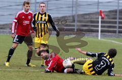 FC Ingolstadt II - SpVgg Bayern Hof -Korkmaz Ümit wird gefoult durch Gareis Daniel(3 Bayern Hof) - Foto: Jürgen Meyer