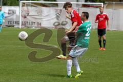 FC Ingolstadt 04 II - SV Schalding-Heining - Räuber Ludwig - Foto: Jürgen Meyer