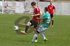 FC Ingolstadt 04 II - SV Schalding-Heining - Räuber Ludwig - Foto: Jürgen Meyer