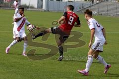 Regionlliga - FC Ingolstadt 04 II - FC Nürnberg -Reisner Dominik #9 rot FC Ing 04 -  Knezevic Ivan #40 weiss Nürnberg links - Foto: Jürgen Meyer