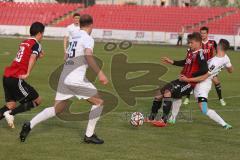 Regionaliga - FC Ingolstadt II - 1.FC Schweinfurt 05 - Fenninger Christof #14 rot Ingolstadt - Bechmann Johannes #25 weiß Schweinfurt - Foto: Jürgen Meyer