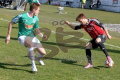 Regionaliga Bayern - FC Ingolstadt II - SV Schalding-Heining - Jainta Steffen rot FC Ingolstadt - Aringer Michael grün Schalding - Foto: Jürgen Meyer