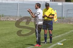 Regionaliga - Saison 2015/2016 - FC Ingolstadt 04 II - SV 01 Victoria Aschaffenburg - Stefan Leitl Trainer FCI feiert seine Mannschaft an - Foto: Jürgen Meyer