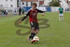 Regionaliga - Saison 2015/2016 - FC Ingolstadt 04 II - SV Schalding-Heining - Räuber Ludwig FC Ingolstadt II - Foto: Jürgen Meyer