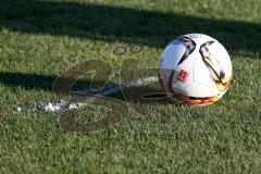 Regionalliga Bayern 2015 / 2016 - FC Ingolstadt 04 II - SSV Jahn Regensburg - Der Ball liegt an der Linie vom Freistoßspray - Foto: Jürgen Meyer