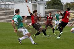 Regionaliga - Saison 2015/2016 - FC Ingolstadt 04 II - SV Schalding-Heining - Pledl Thomas (FC Ingolstadt II) - Eibl Josef grün (Schalding) - Foto: Jürgen Meyer