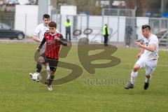 Regionalliga - Saison 2016/2017 - FC Ingolstadt 04 II - 1. FC Schweinfurt - Jalinous Darius FCI II - Foto: Jürgen Meyer