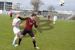 Regionalliga - Saison 2016/2017 - FC Ingolstadt 04 II - 1. FC Schweinfurt - Jalinous Darius FCI II - Foto: Jürgen Meyer