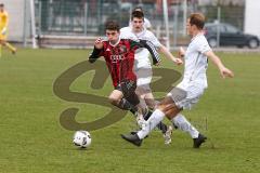 Regionalliga - Saison 2016/2017 - FC Ingolstadt 04 II - 1. FC Schweinfurt - Jalinous Darius FCI II - Foto: Jürgen Meyer