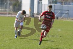 Regionalliga Bayern - Saison 2018/2019 - FC Ingolstadt 04 II - Viktoria Aschaffenburg - Michael Senger rot FCI schiesst den 2:0 Treffer - jubel - Foto: Meyer Jürgen