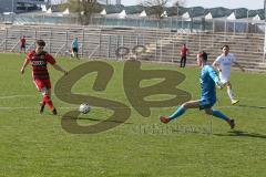 Regionalliga Bayern - Saison 2018/2019 - FC Ingolstadt 04 II - Viktoria Aschaffenburg - Michael Senger rot FCI schiesst den 2:0 Treffer - jubel - Kevin Birk Torwart Aschaffenburg - Foto: Meyer Jürgen