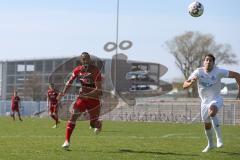 Regionalliga Bayern - Saison 2018/2019 - FC Ingolstadt 04 II - Viktoria Aschaffenburg - Marvin Matip rot FCI II  - Foto: Meyer Jürgen