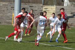 Regionalliga Bayern - Saison 2018/2019 - FC Ingolstadt 04 II - Viktoria Aschaffenburg - Thomas Keller rot FCI- Foto: Meyer Jürgen